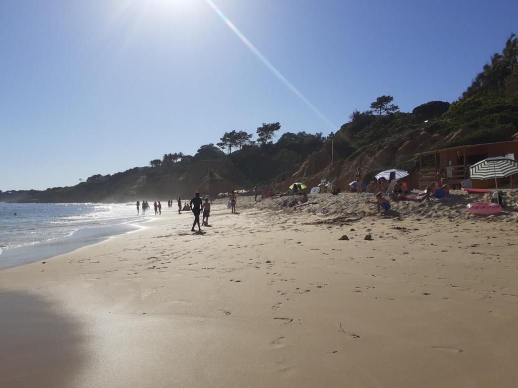 Vista Das Ondas Olhos De água Ii Apartamento *