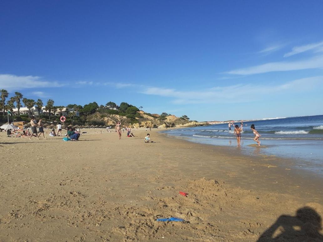 Vista Das Ondas Olhos De água Ii